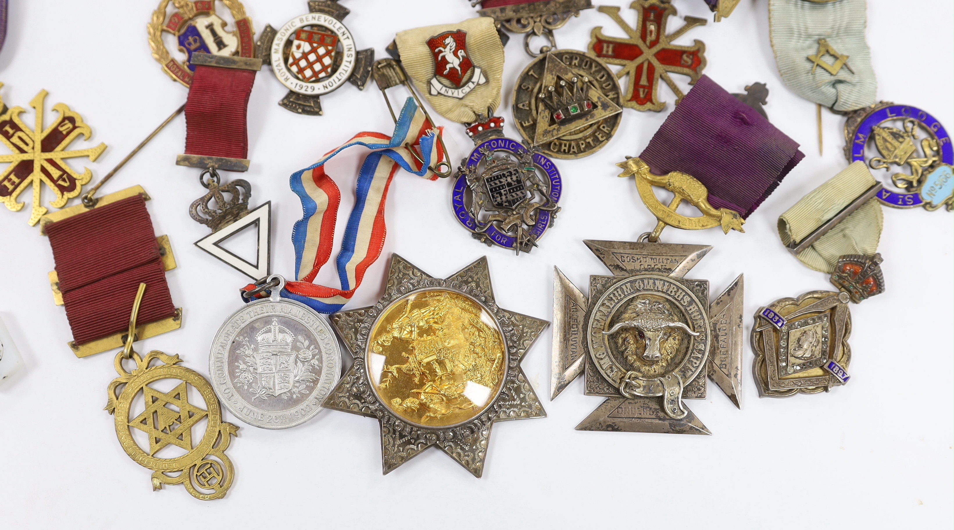 Fourteen Masonic and Order of Buffaloes medals, including enamelled examples, named lodges and silver hallmarked examples